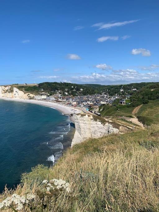 Les Falaises D'Albatre Heuqueville  Экстерьер фото